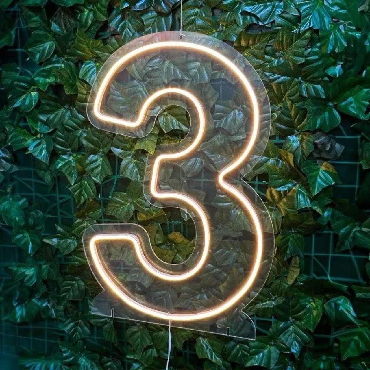 Número Led 50Cm - 3 - MILLENYLIMA