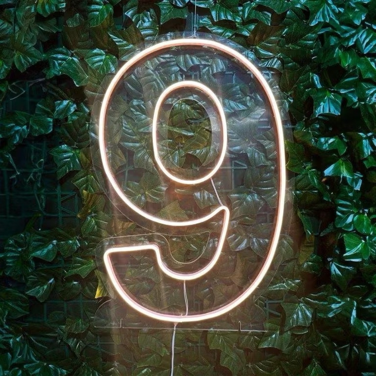 Número Led 50Cm - 9 - MILLENYLIMA