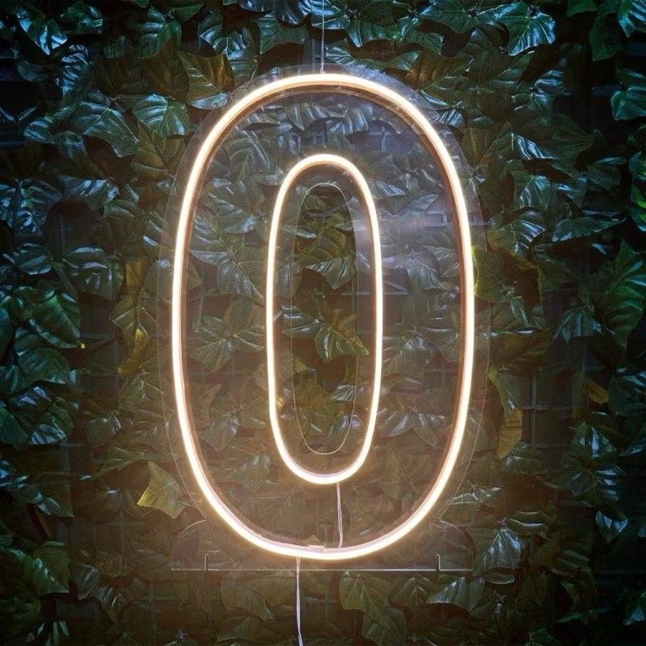 Número Led 50Cm - 0 - MILLENYLIMA