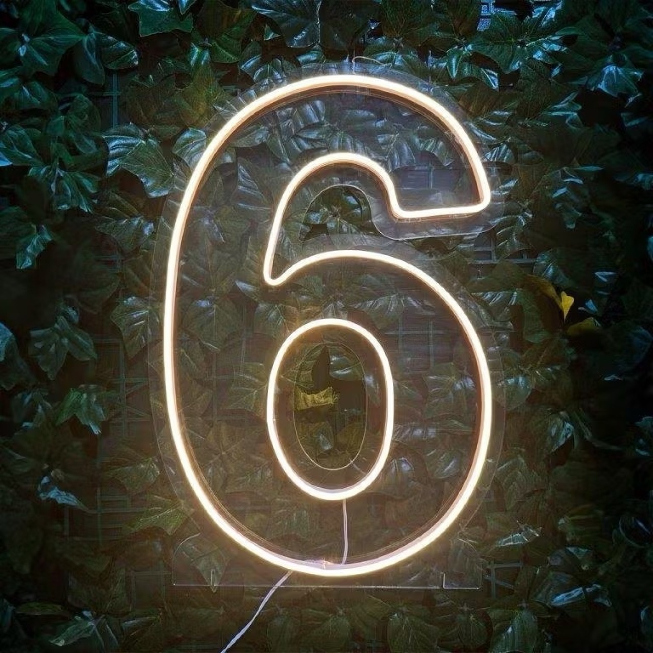 Número Led 50Cm - 6 - MILLENYLIMA