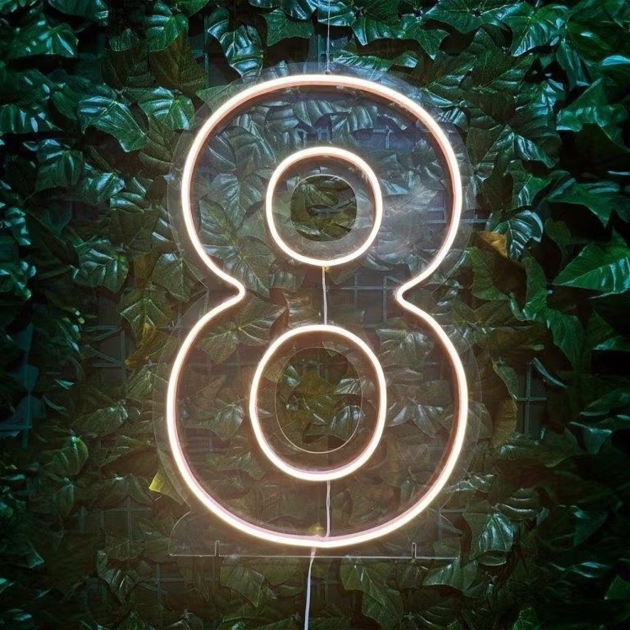 Número Led 50Cm - 8 - MILLENYLIMA