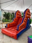 Mini Centopeia Inflável (C5,00 X L2,10 X A3,10) - imagem 2