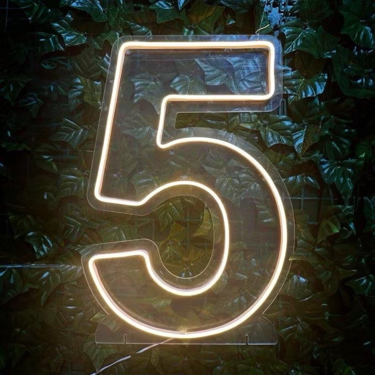 Número Led 50Cm - 5 - MILLENYLIMA