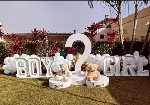 Chá Revelação Boy Girl - Carla Decor