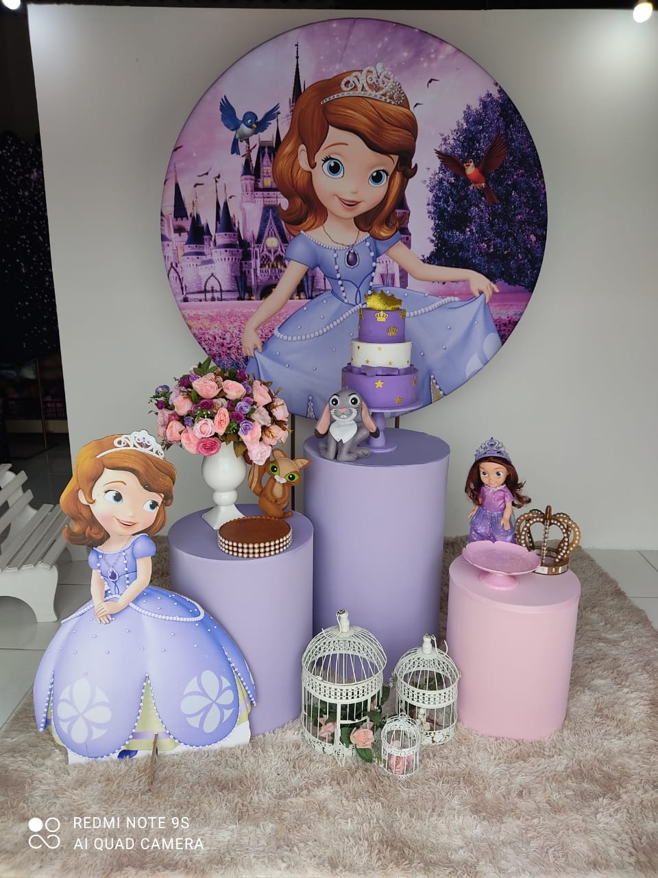 Kit Essencial Princesa Sofia - Carla Decor