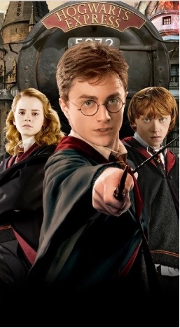Capa Painel Retangular - Harry Potter - jlfestaemcasa