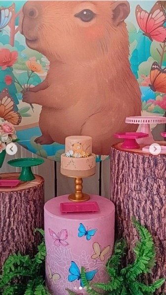 Kit Pegue E Monte - Capivara - jlfestaemcasa