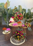 Astetic Vibrante - imagem 1