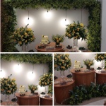 Natural Chic - imagem 1