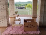All Pink - imagem 2