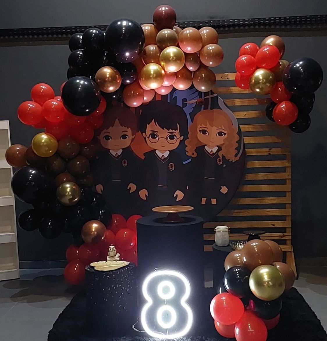 Harry Potter - THAYSE DECORA 