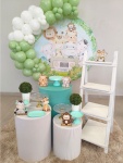 Safari Kit Bronze - imagem 2