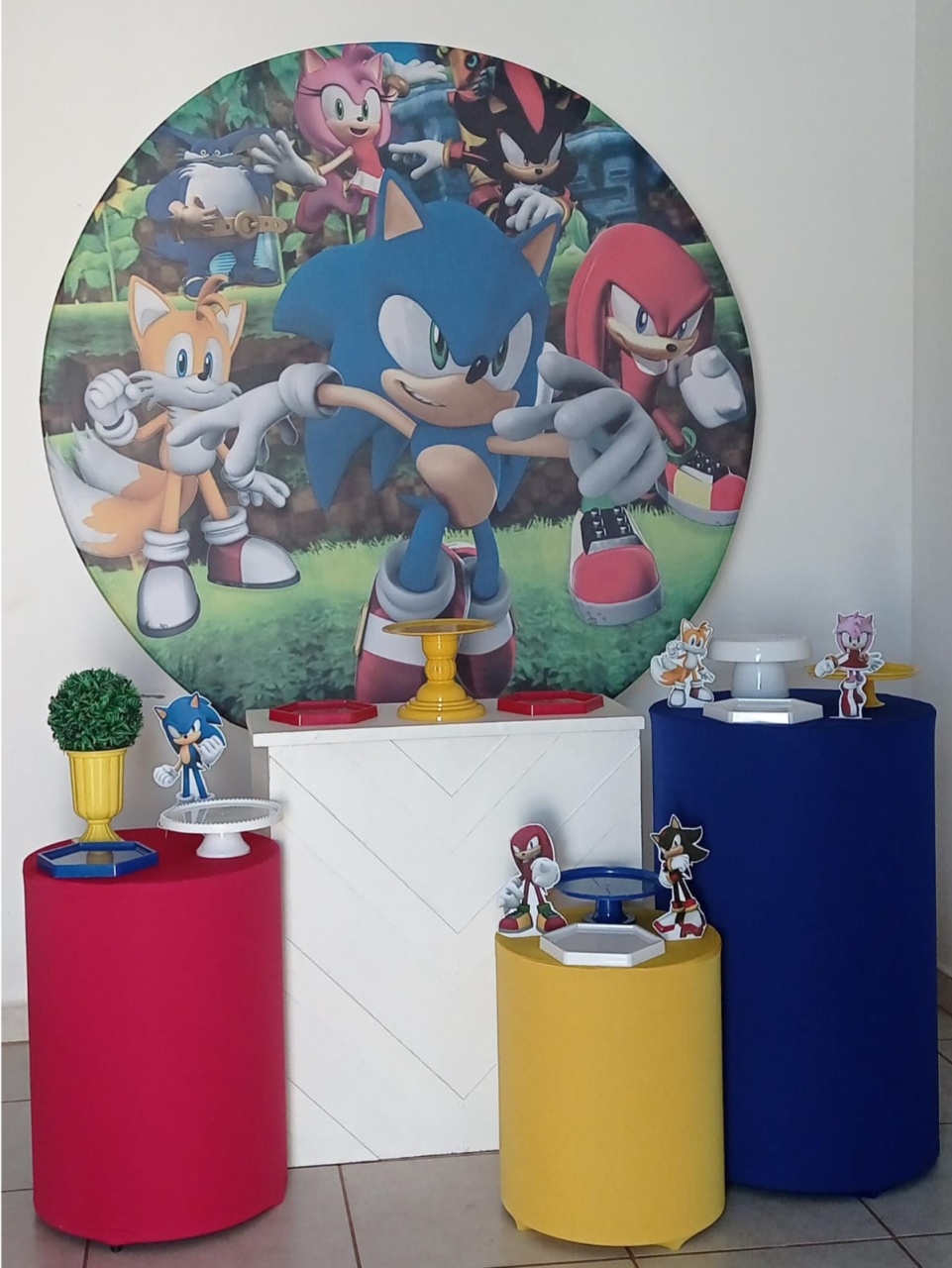 Kit Ouro Turma Do Sonic - PEGUE E MONTE - ALEGRIA CORES