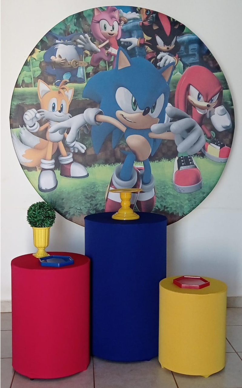 Kit Basico Turma Do Sonic - PEGUE E MONTE - ALEGRIA CORES