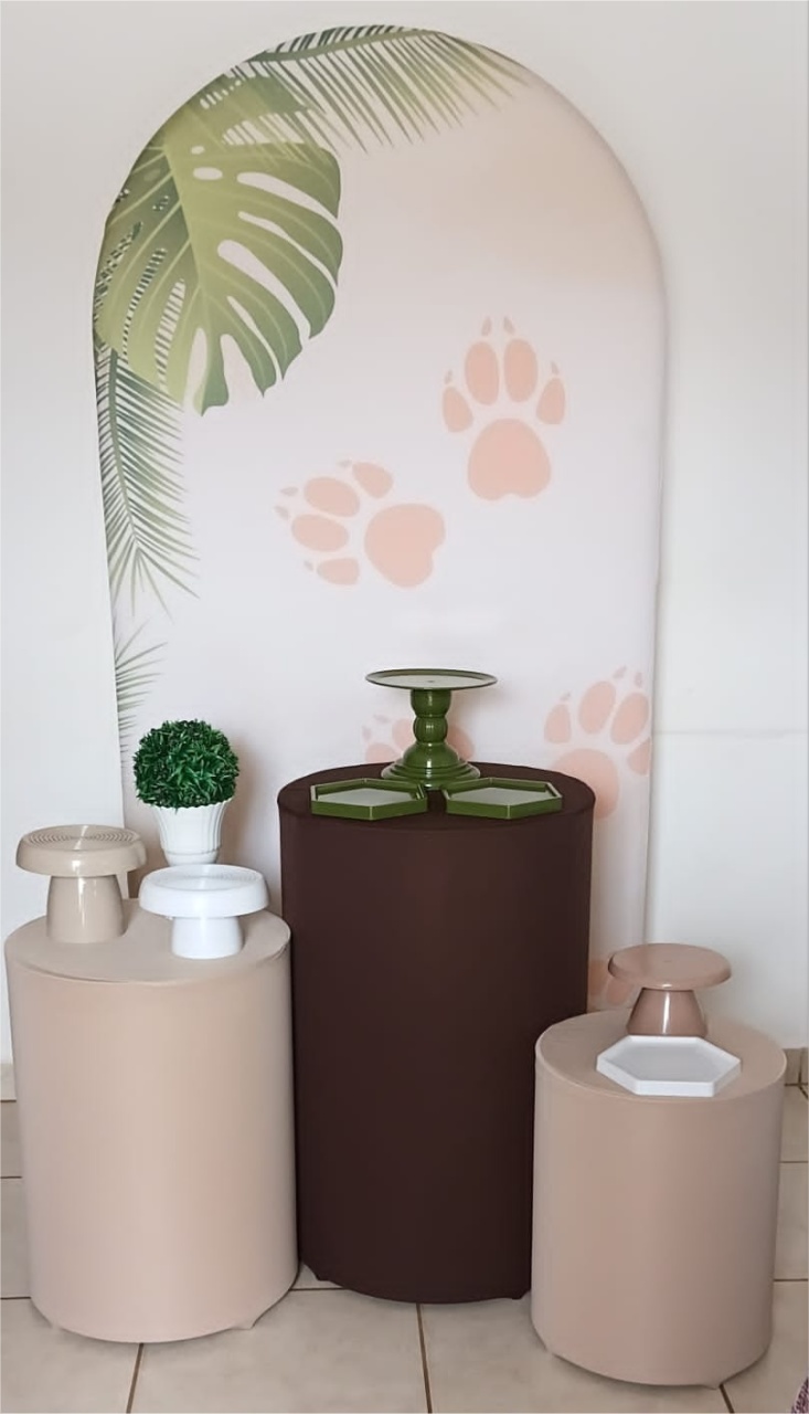 Kit Prata - Romano Pata Do Leão - PEGUE E MONTE - ALEGRIA CORES