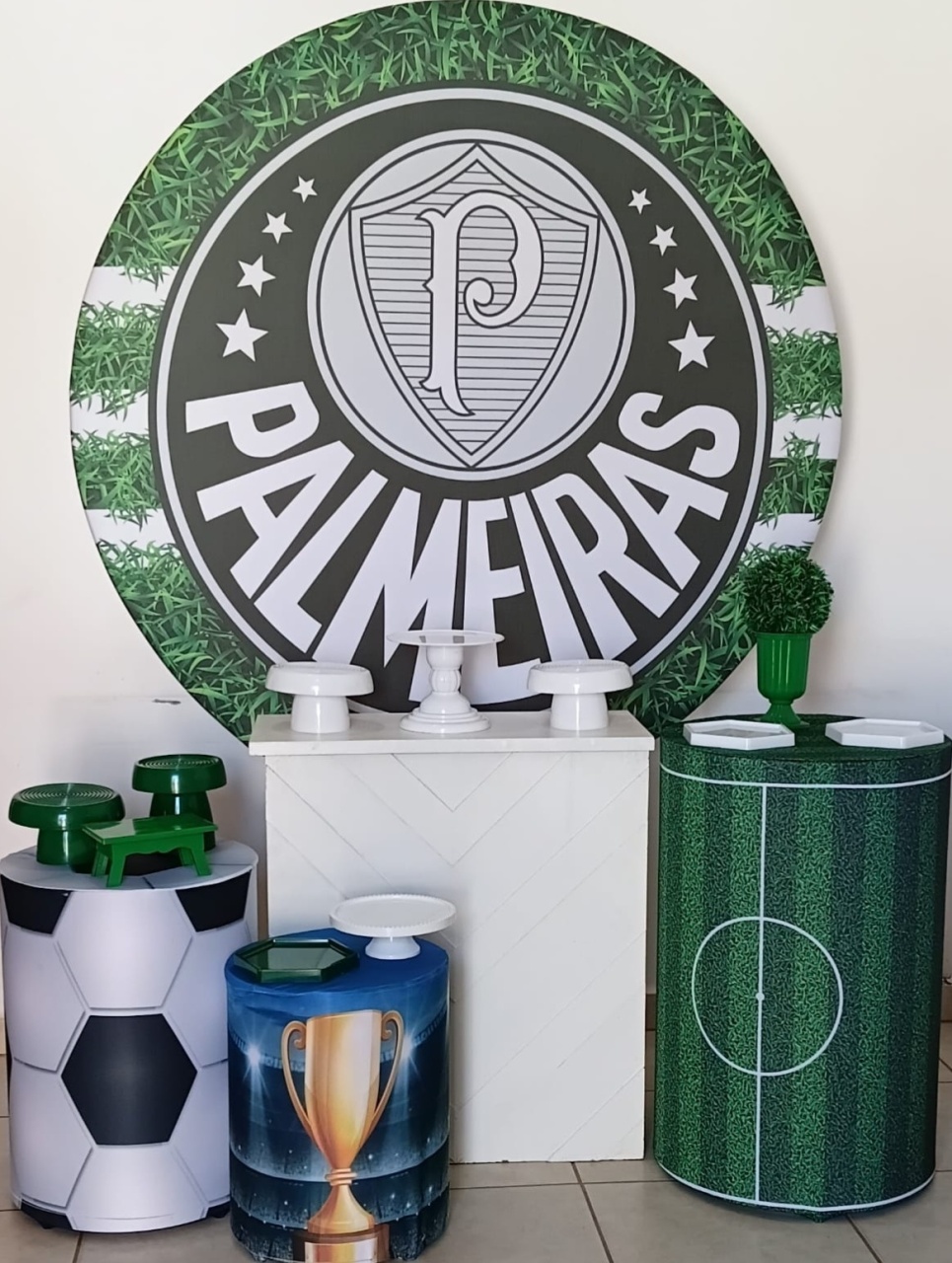 Kit Ouro Palmeiras - PEGUE E MONTE - ALEGRIA CORES