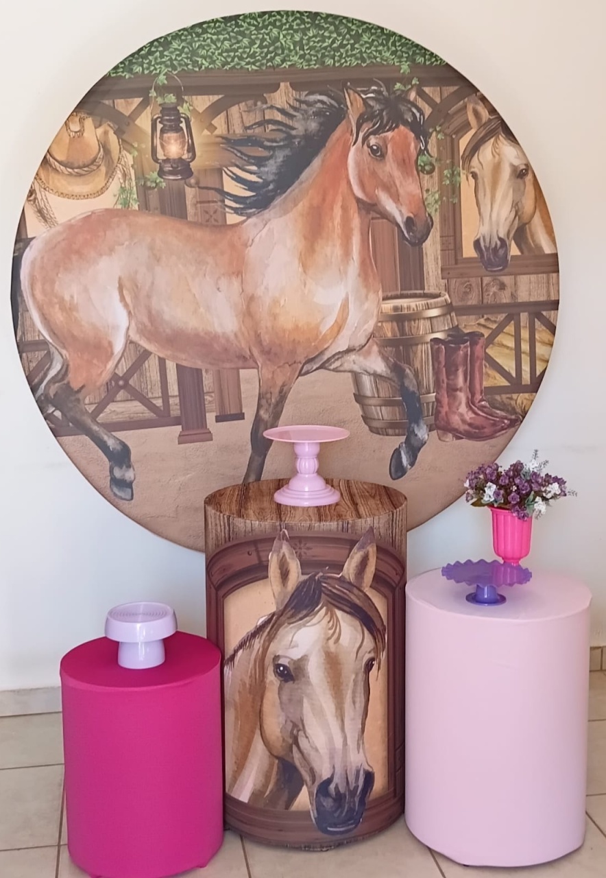 Kit Basico Country Rosa - PEGUE E MONTE - ALEGRIA CORES
