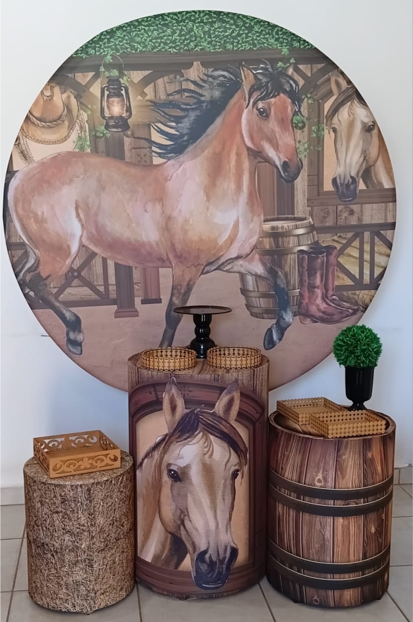 Kit Prata Country - PEGUE E MONTE - ALEGRIA CORES