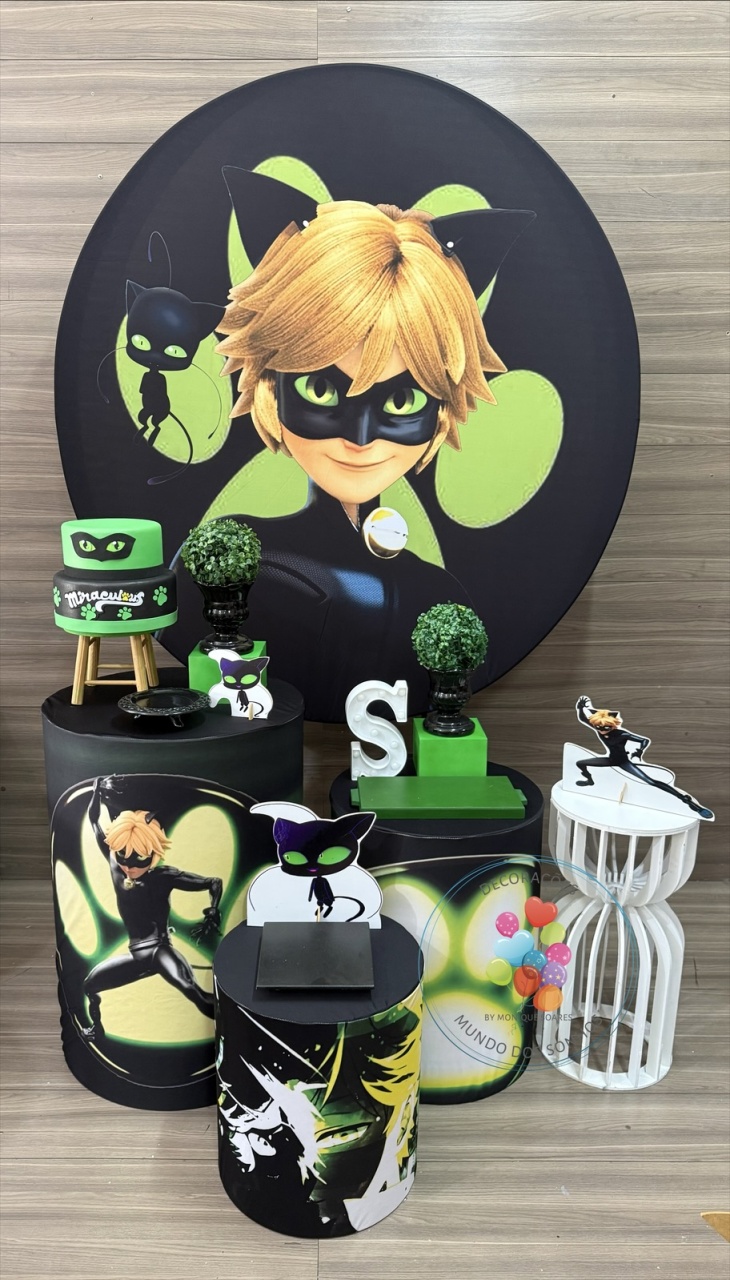 Cat Noir - Decorações Mundo dos Sonhos