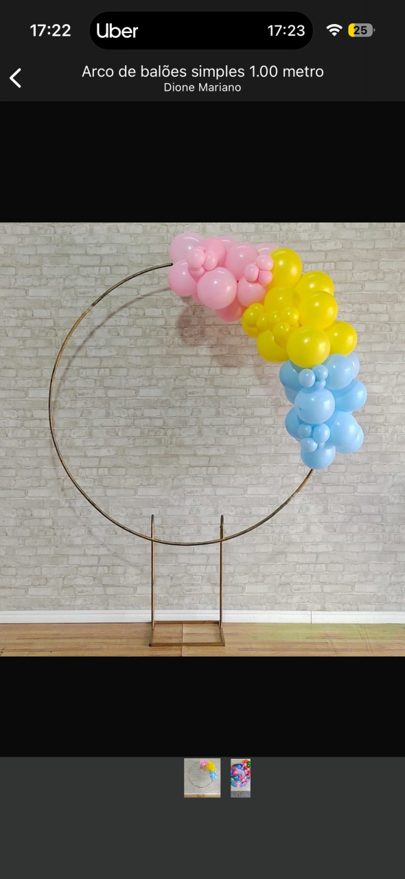 Arco Delivery M  - Lara Art Festas