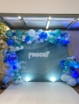 🎬 Cenários Backdrop Personalizados - imagem 1