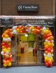 🎈 Pórticos de Balões (Entrada) - imagem 14