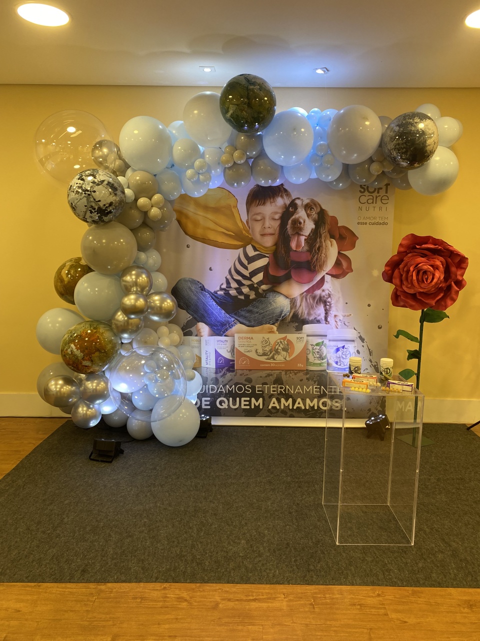 🎬 Cenários Backdrop Personalizados - Pique Pique Festas 