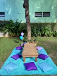 🧺 Mesa Picnic Decorada - imagem 2