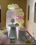 Chá de Bebê Margarida  - imagem 2
