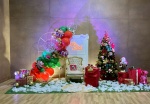 🎄 Decoração Especial de Natal  - imagem 1