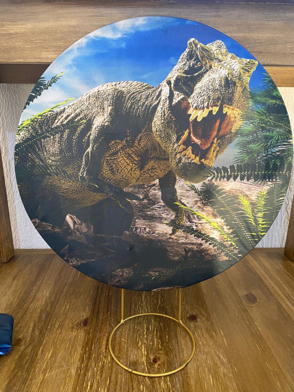 Capa de Painel Dinossauro 50X50 - Lidi Festas e Decorações 