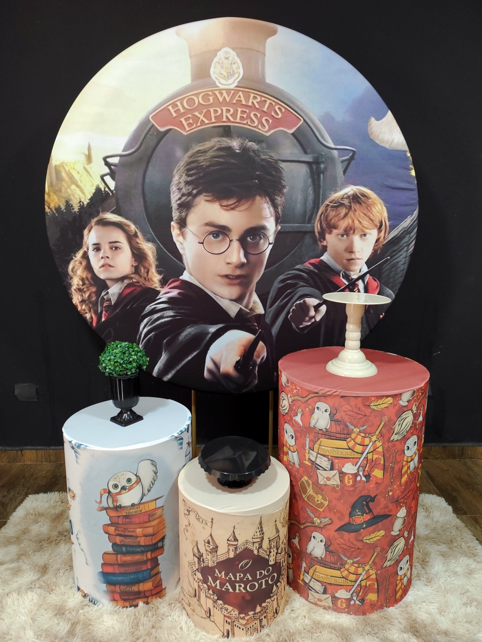 Harry Potter Básico 1 - Raio de Sol