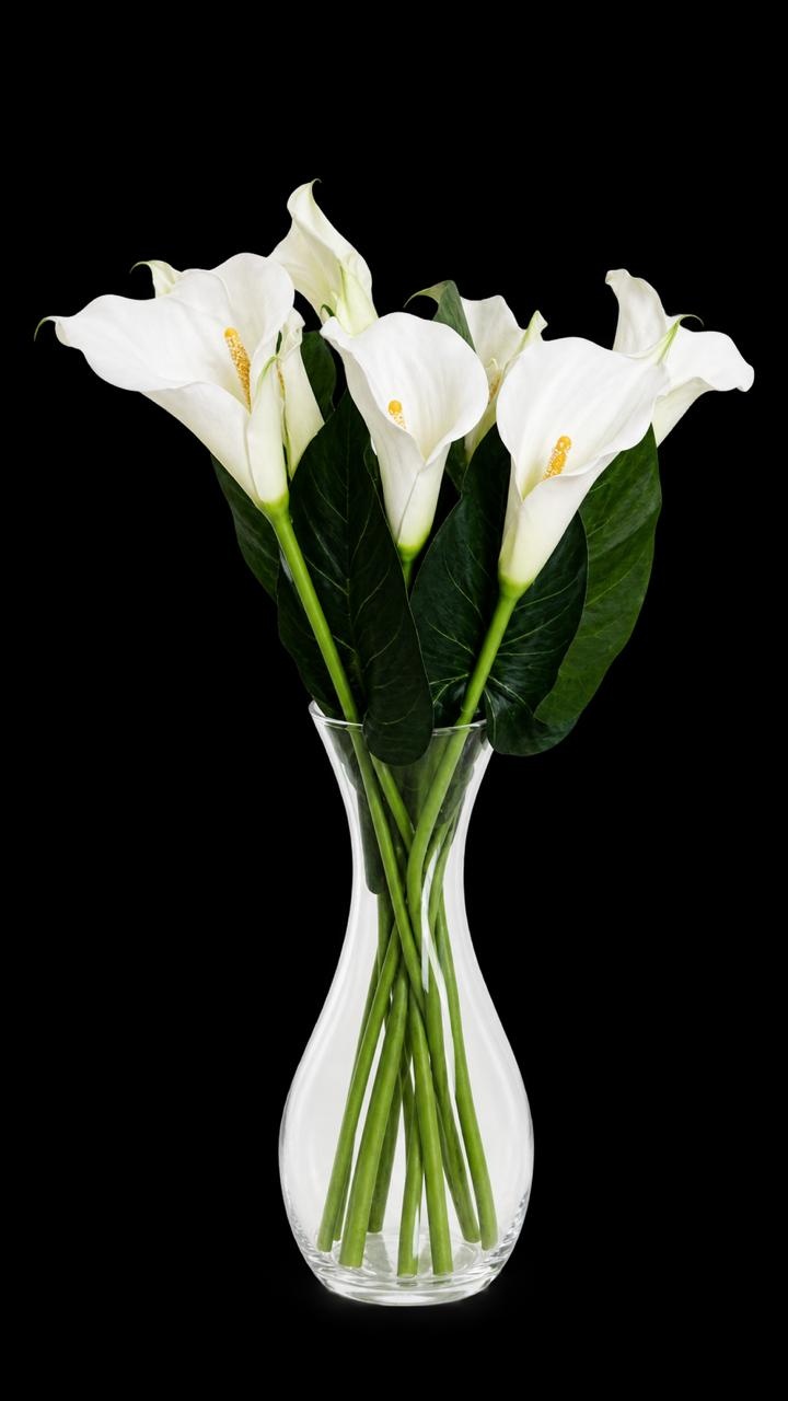 Vaso Tulipa Com Copo de Leite - Comemore com encanto