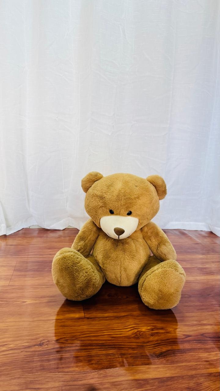Urso Pelucia M Marrom - Comemore com encanto