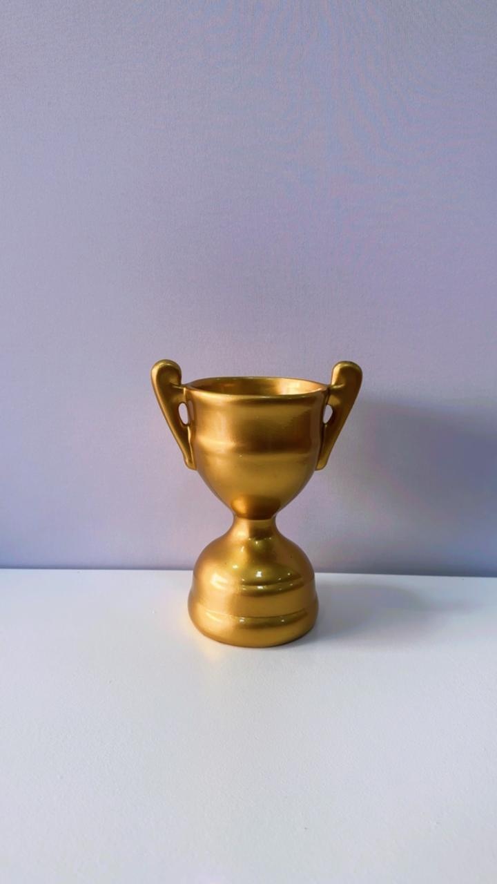 Trofeu Porcelana 21 Cm - Comemore com encanto