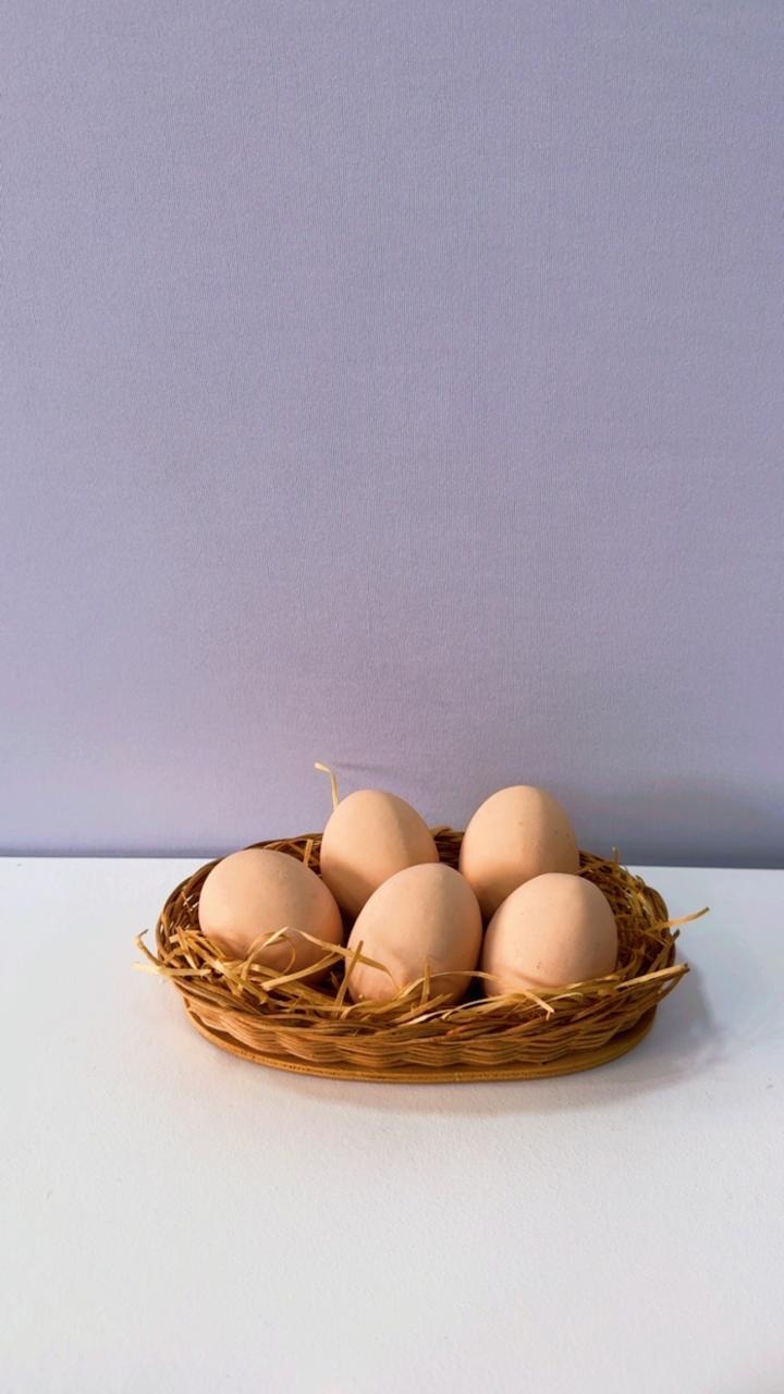 Ovos de Resina Com Cesto - Comemore com encanto