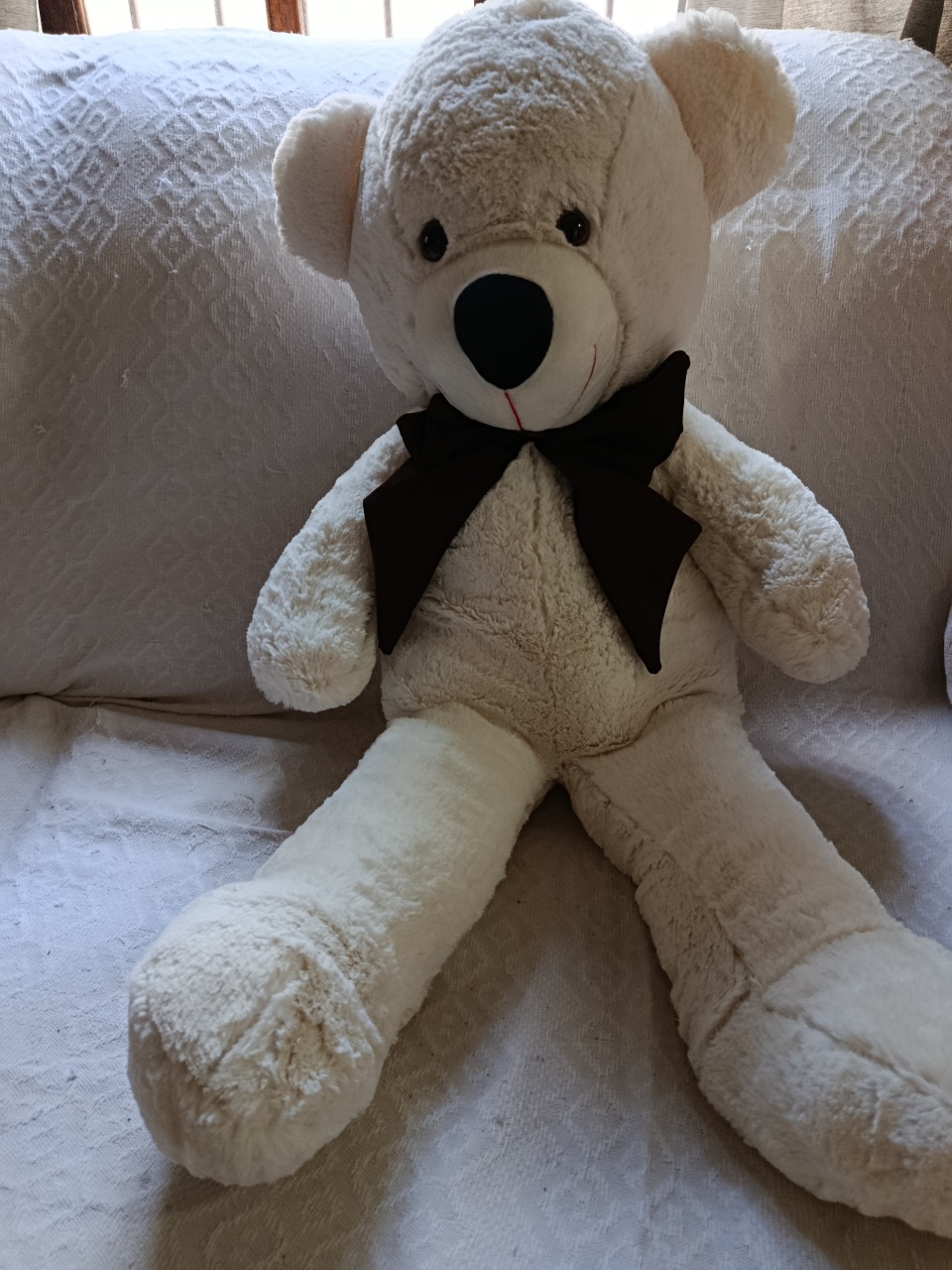Urso Grande - Aline Bordoli Carrion 