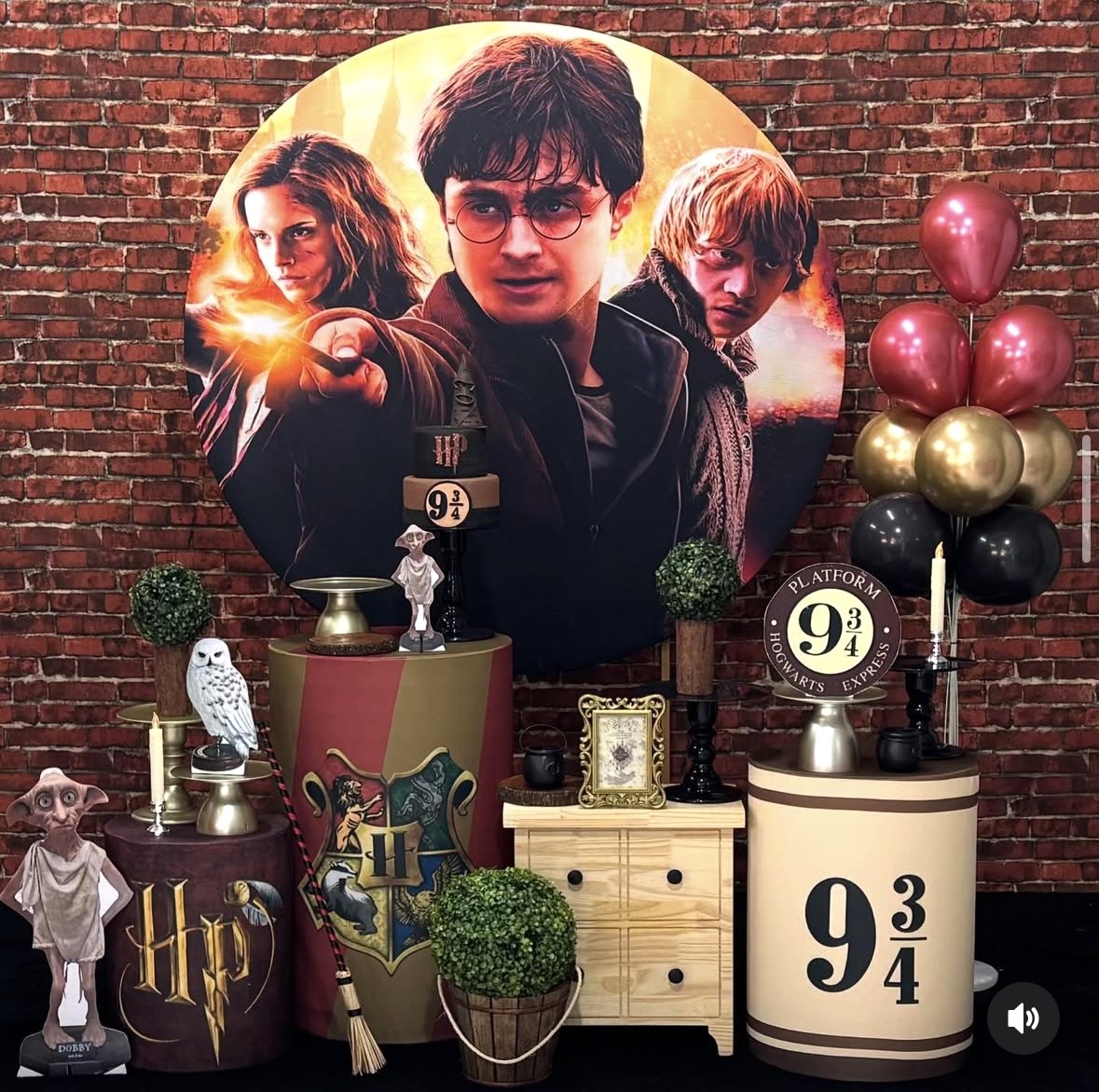Kit Harry Potter 3 - Pegue e Monte Fest