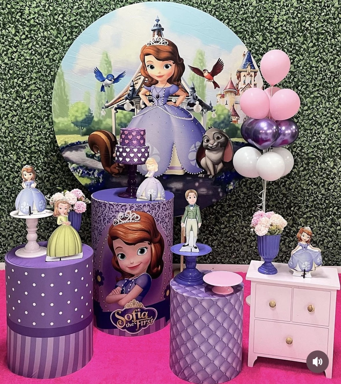 Kit Princesa Sofia 5 - Pegue e Monte Fest