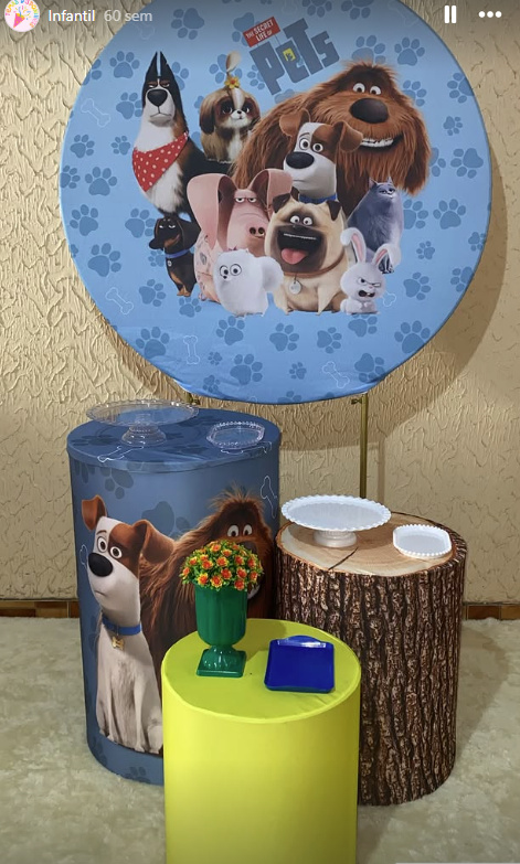 Pets: A Vida Secreta dos Bichos - Pegue e Monte Fest