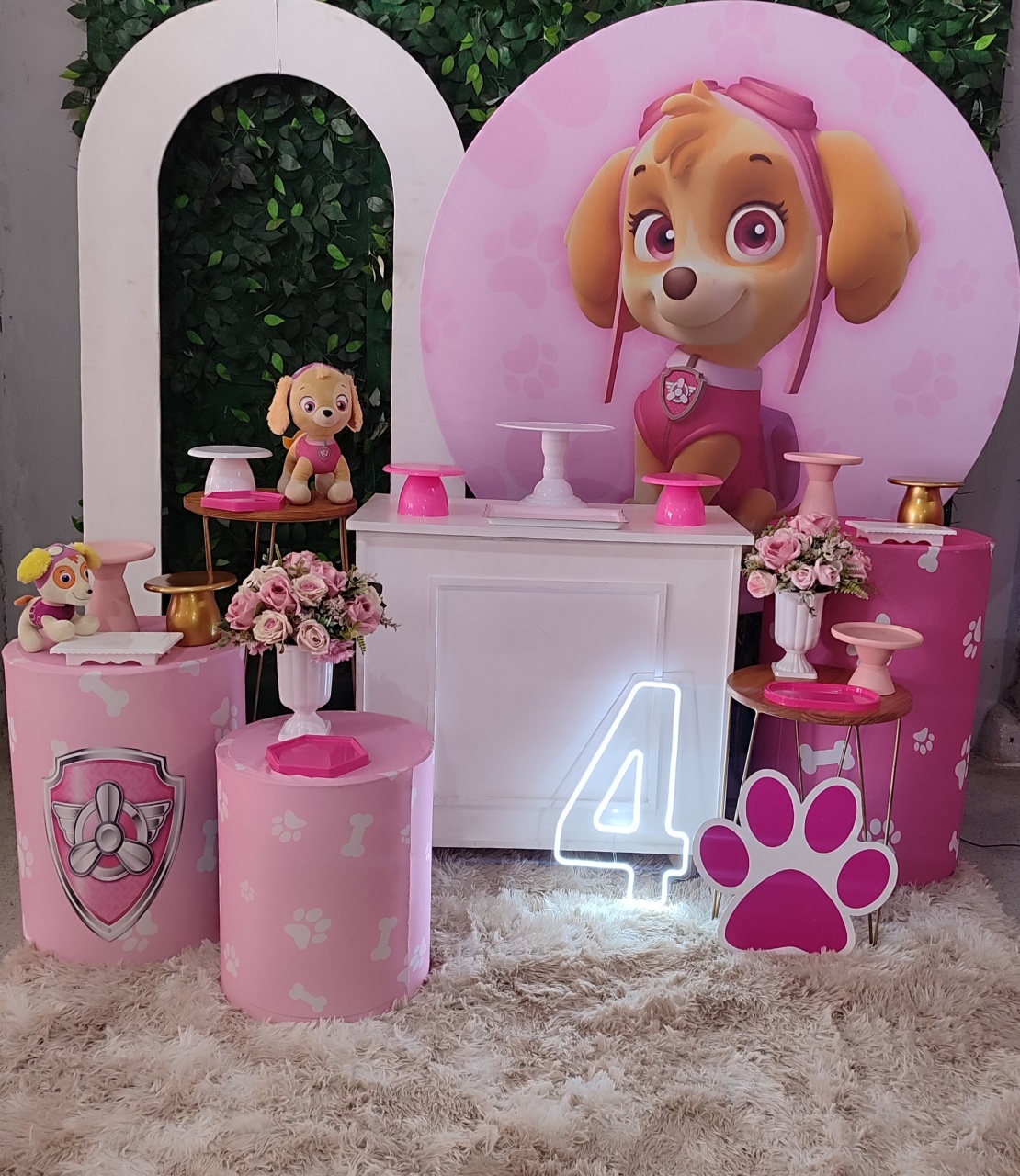Patrulha Canina - Skye  - Arte Sonho Locação