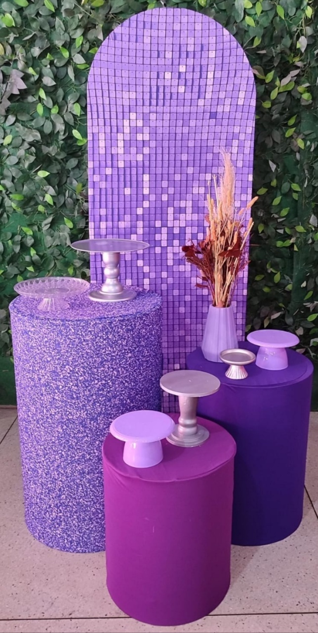 Adulto Roxo - Arte Sonho Locação