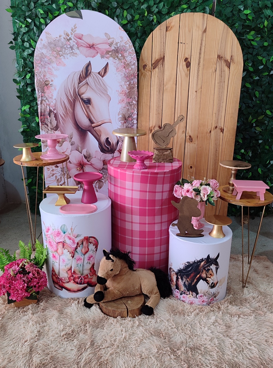 Country - Cavalo  - Arte Sonho Locação