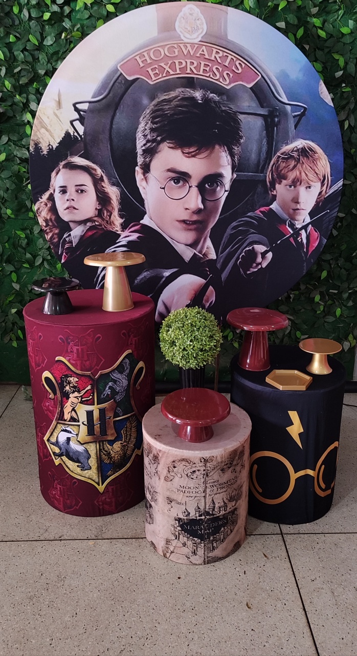 Harry Potter  - Arte Sonho Locação