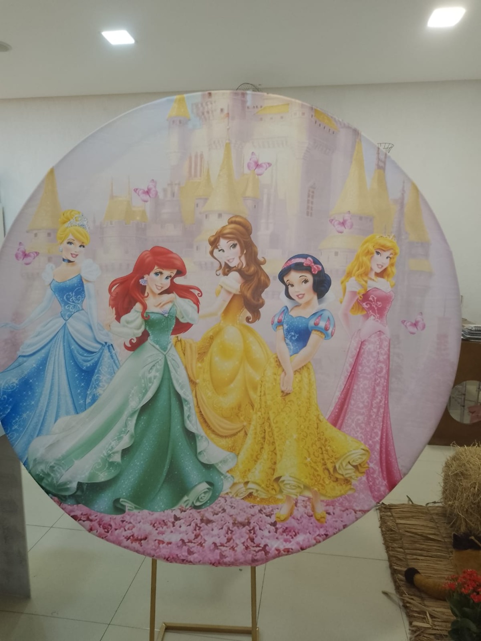 Painel Princesas - Mania de festa