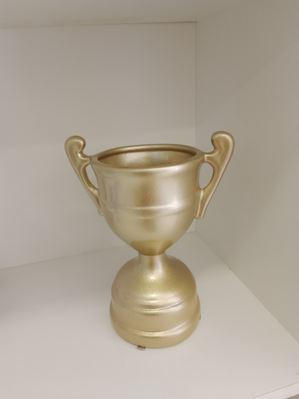 Troféu - Mania de festa