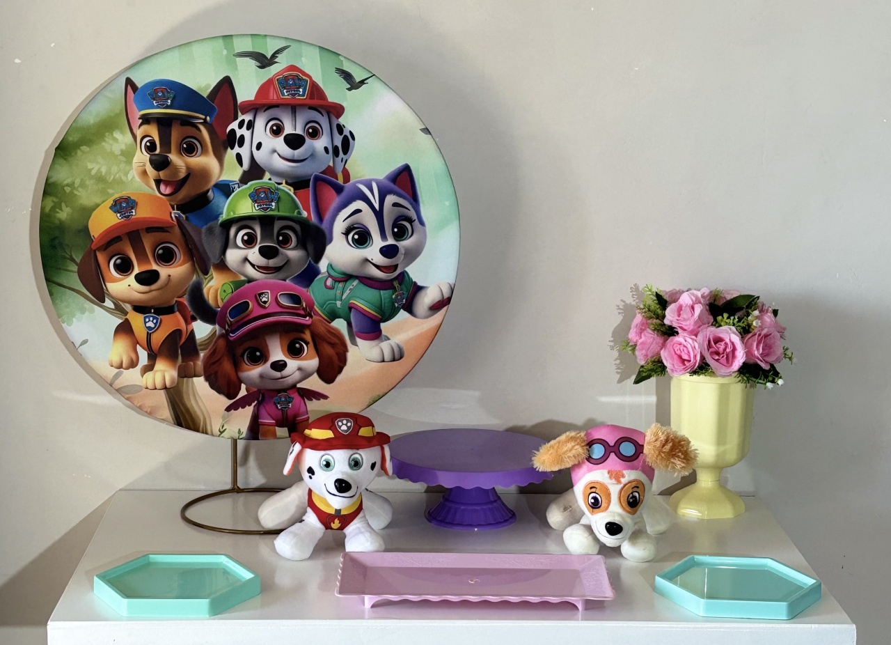 Mini Kit Patrulha Canina 01 Skaye - Shalom Festas Pegue e Monte 
