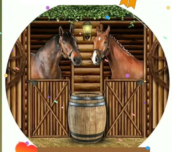 4) Cavalos - Lok&Decore