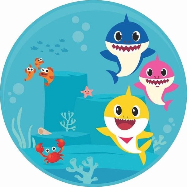 4) Baby Shark - Lok&Decore