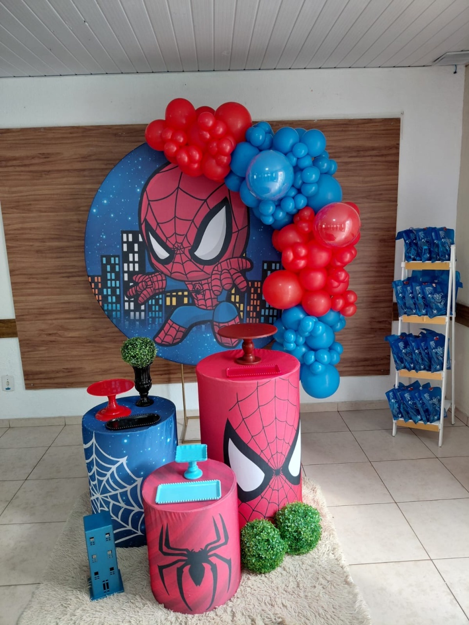 Kit Homem Aranha Baby - Maria joseane dos Santos 